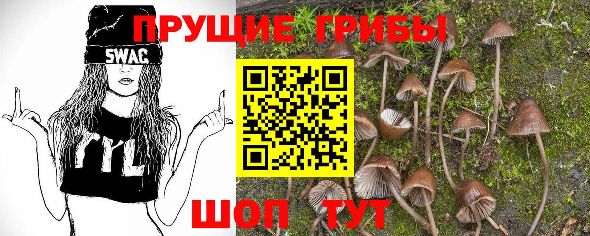 Аргун  Псилоцибиновые грибы Psilocybine cubensis  Вход с VPN 