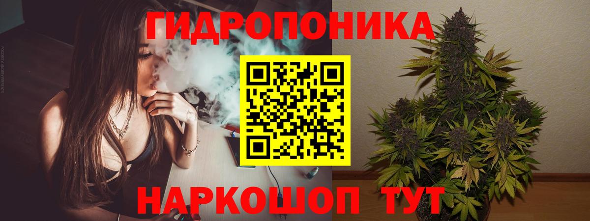 Канабис AK-47  Вход с VPN  Бошки Шишки план  Аргун  Канабис Amnesia 